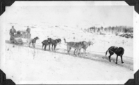 "Shorty Russick's Dog Team" 1930