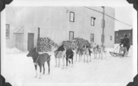 A. St. Godard The Pas Winner For 1928 and 29 Dog 