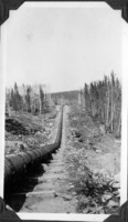 Pipe Line to Trout Lake 1930