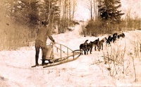 Dog Team no other information