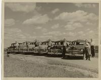 Line of Mel's Taxi cabs and drivers C 1950