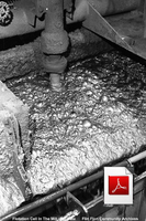 To Float or Sink" A Brief History of Flotation Milling 