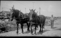 Transport Ltd Heavy Team Callinan C1931
