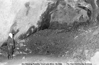 Trout Lake Mine