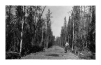 Sixteen Mile Corduroy Road From Sturgeion Landing to Athapap 1925 
