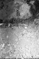 Trout Lake Mine