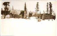  1920s Northern Manitoba Trapper's Cabin and Pelts Drying