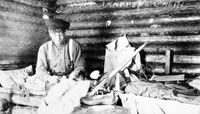  Native trapper working on a fur pelt in his trapper s log cabin