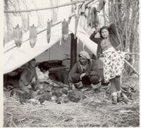 Summerberry Marsh 1942 