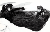 Scuba divers in a hole in the ice.