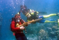 Scuba divers underwater in the tropics.