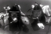 Scuba divers underwater.