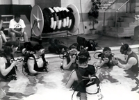 Scuba diving lessons in pool.