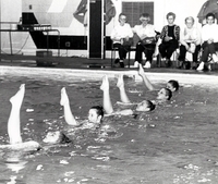 Synchronized swimming in pool.