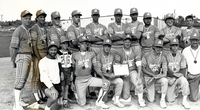 men's baseball team winners 