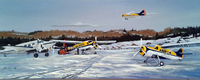 Painting of the HBAT Fleet 