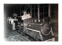 B.P.O. Elks Railroad 232 no date
