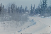 Birch Lake Road : No Date