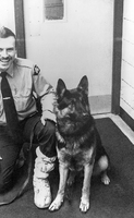 Mountie and Dog 