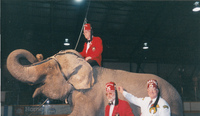 Shrine Circus May 15 1997