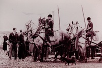 1935 Silver Jubilee Parade - Horses of the Royal Carriage 