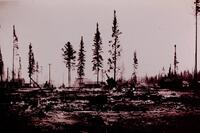 1929 Cranberry Portage Fire 
