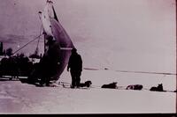 Dog Sled With Sail . Common Sight in the 1930's