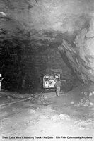 Trout Lake Mine