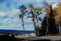 Beaver Lake South Weir 1978 