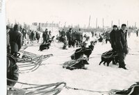The Trappers Festival - 1965