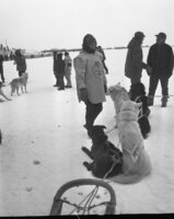 The Trappers Festival - 1971