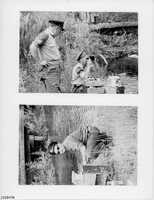 Album 04 - Page 14
