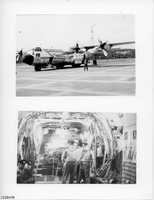 Album 04 - Page 17