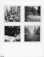 Album 05 - Page 07