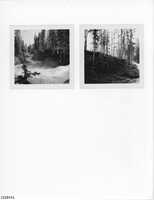 Album 05 - Page 08