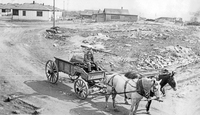 Wagon and Team as the HBM&S Plant end of the Tote Road C 1930