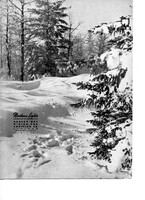 194403nl 1944 March Vol3 No1