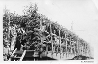 - Elks Convention Outing 1933