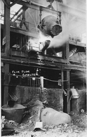 Slag Scimmed of the Converters into the Reverb Furnace