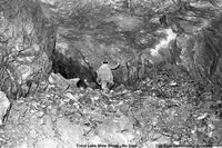 Trout Lake Mine