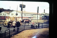 Queen Elizabeth ll Coronation Daay Parade 1953