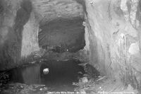 Trout Lake Mine