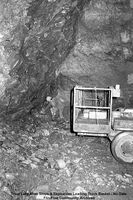 Trout Lake Mine