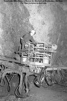 Trout Lake Mine