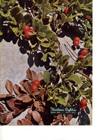 194803nl 1948 March Vol 7 No 1