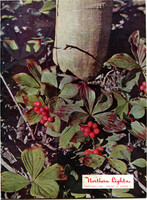 195312nl 1953 Christmas Vol12 No4