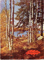 196109nl 1961 Autumn Vol21 No3