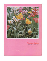 196503nl 1965 Spring Vol 25 No1