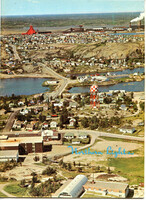 196903nl Spring Vol29 No1