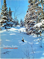 196912nl Christmas Vol29 No4